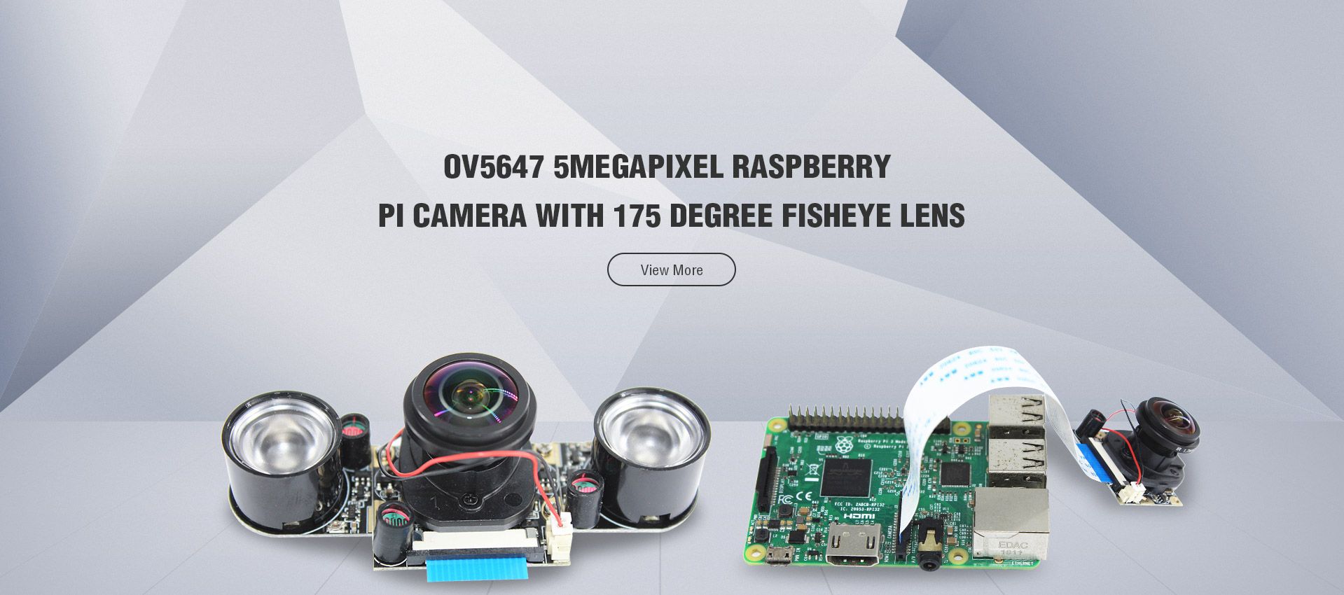 Raspberry Pi Camera Module